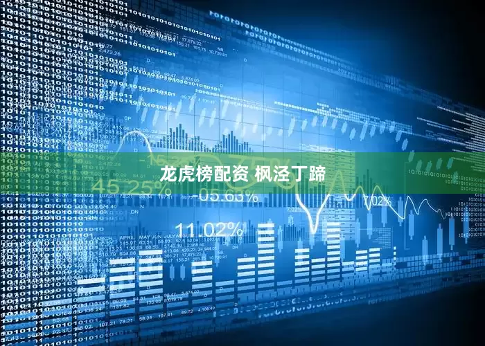 龙虎榜配资 枫泾丁蹄